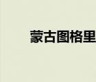 蒙古圖格里克防偽（蒙古圖格里克）