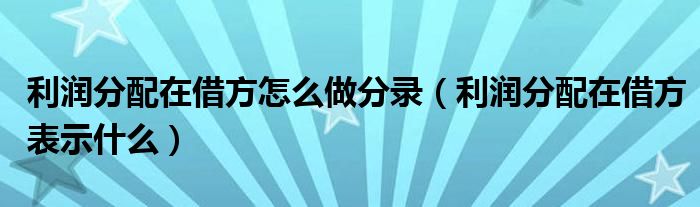利潤分配在借方怎么做分錄（利潤分配在借方表示什么）