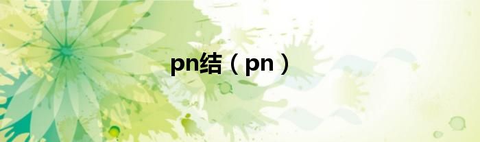 pn結(jié)（pn）