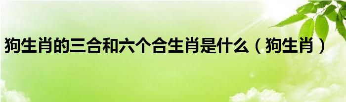 狗生肖的三合和六個(gè)合生肖是什么（狗生肖）