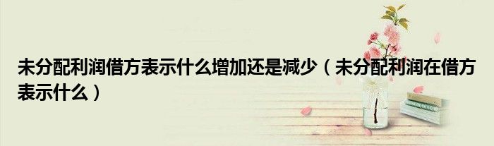 未分配利潤借方表示什么增加還是減少（未分配利潤在借方表示什么）