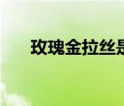 玫瑰金拉絲是什么材料（玫瑰金拉絲）