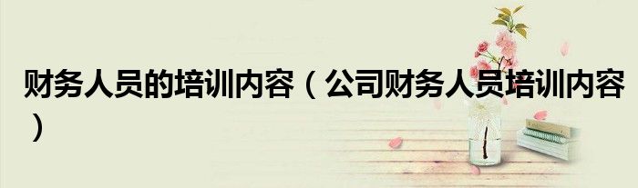 財(cái)務(wù)人員的培訓(xùn)內(nèi)容（公司財(cái)務(wù)人員培訓(xùn)內(nèi)容）