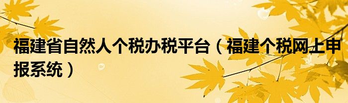 福建省自然人個稅辦稅平臺（福建個稅網(wǎng)上申報系統(tǒng)）