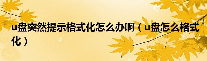 u盤(pán)突然提示格式化怎么辦啊（u盤(pán)怎么格式化）