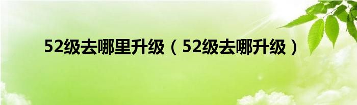 52級(jí)去哪里升級(jí)（52級(jí)去哪升級(jí)）
