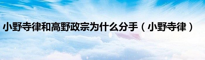 小野寺律和高野政宗為什么分手（小野寺律）
