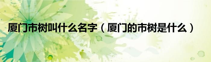 廈門市樹叫什么名字（廈門的市樹是什么）