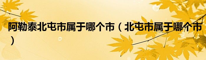 阿勒泰北屯市屬于哪個市（北屯市屬于哪個市）