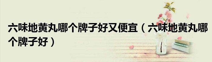 六味地黃丸哪個(gè)牌子好又便宜（六味地黃丸哪個(gè)牌子好）