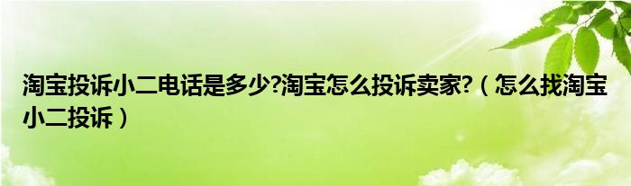 淘寶投訴小二電話是多少?淘寶怎么投訴賣家?（怎么找淘寶小二投訴）