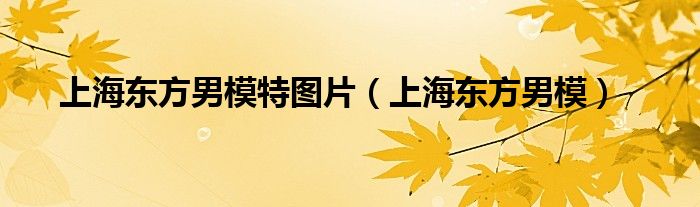 上海東方男模特圖片（上海東方男模）