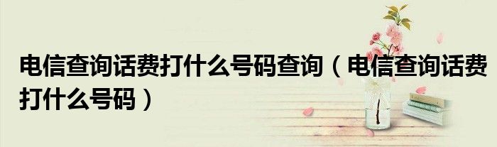 電信查詢話費打什么號碼查詢（電信查詢話費打什么號碼）