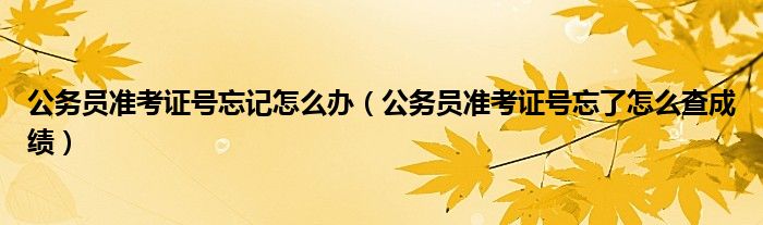公務(wù)員準(zhǔn)考證號(hào)忘記怎么辦（公務(wù)員準(zhǔn)考證號(hào)忘了怎么查成績(jī)）