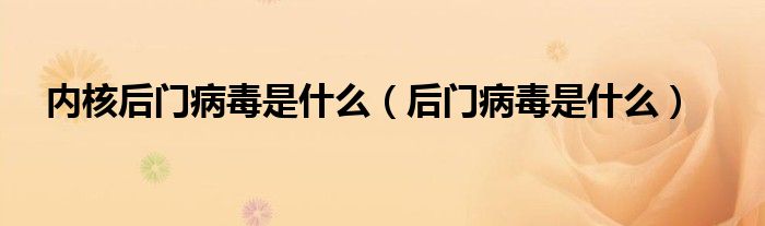 內(nèi)核后門病毒是什么（后門病毒是什么）