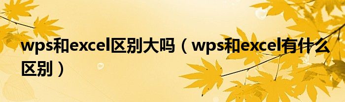 wps和excel區(qū)別大嗎（wps和excel有什么區(qū)別）