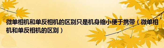 微單相機(jī)和單反相機(jī)的區(qū)別只是機(jī)身縮小便于攜帶（微單相機(jī)和單反相機(jī)的區(qū)別）