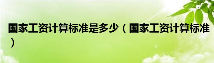 國(guó)家工資計(jì)算標(biāo)準(zhǔn)是多少（國(guó)家工資計(jì)算標(biāo)準(zhǔn)）