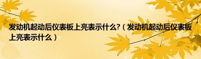 發(fā)動機起動后儀表板上亮表示什么?（發(fā)動機起動后儀表板上亮表示什么）