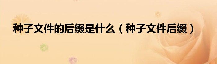 種子文件的后綴是什么（種子文件后綴）