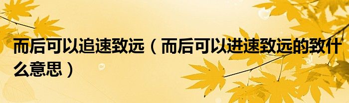 而后可以追速致遠(yuǎn)（而后可以進(jìn)速致遠(yuǎn)的致什么意思）