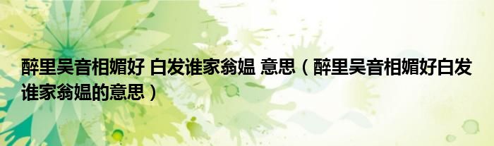 醉里吳音相媚好 白發(fā)誰(shuí)家翁媼 意思（醉里吳音相媚好白發(fā)誰(shuí)家翁媼的意思）