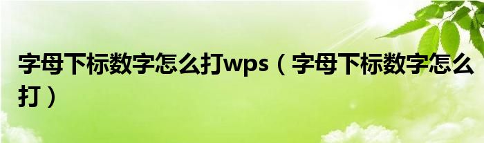 字母下標數(shù)字怎么打wps（字母下標數(shù)字怎么打）