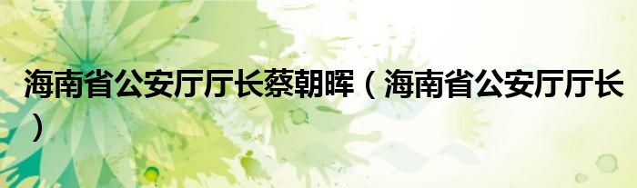 海南省公安廳廳長蔡朝暉（海南省公安廳廳長）