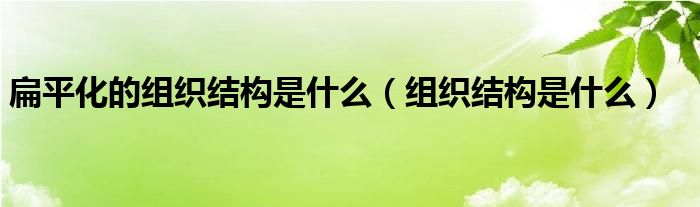 扁平化的組織結(jié)構(gòu)是什么（組織結(jié)構(gòu)是什么）