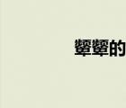 顰顰的意思是什么（顰顰）