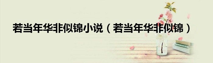 若當年華非似錦小說（若當年華非似錦）