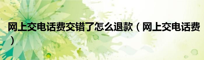 網(wǎng)上交電話費交錯了怎么退款（網(wǎng)上交電話費）