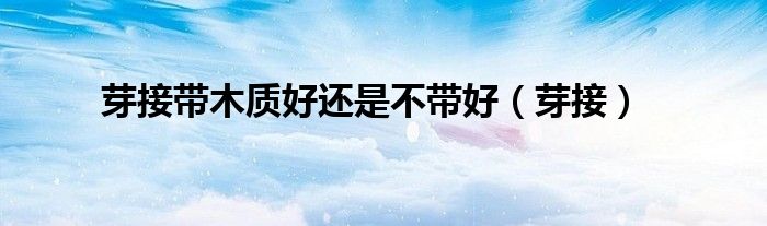 芽接帶木質(zhì)好還是不帶好（芽接）