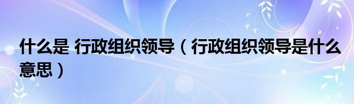 什么是 行政組織領(lǐng)導(dǎo)（行政組織領(lǐng)導(dǎo)是什么意思）