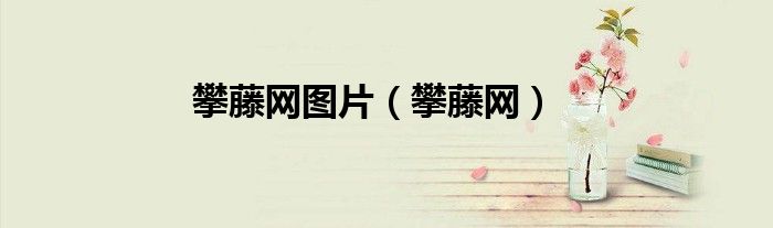 攀藤網(wǎng)圖片（攀藤網(wǎng)）