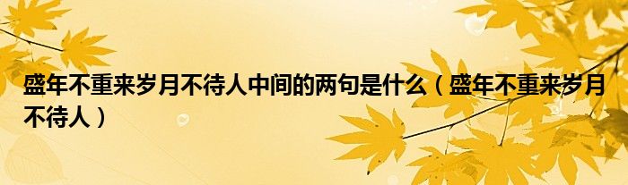 盛年不重來歲月不待人中間的兩句是什么（盛年不重來歲月不待人）