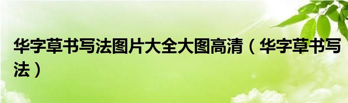 華字草書(shū)寫法圖片大全大圖高清（華字草書(shū)寫法）