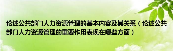 論述公共部門人力資源管理的基本內(nèi)容及其關(guān)系（論述公共部門人力資源管理的重要作用表現(xiàn)在哪些方面）