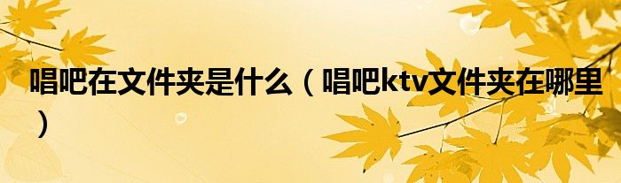 唱吧在文件夾是什么（唱吧ktv文件夾在哪里）