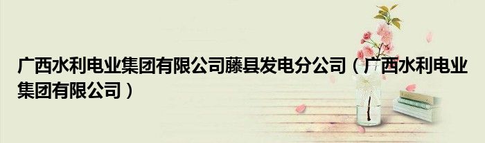 廣西水利電業(yè)集團有限公司藤縣發(fā)電分公司（廣西水利電業(yè)集團有限公司）