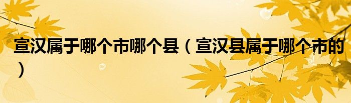 宣漢屬于哪個(gè)市哪個(gè)縣（宣漢縣屬于哪個(gè)市的）