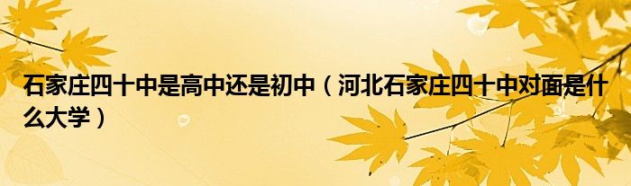 石家莊四十中是高中還是初中（河北石家莊四十中對面是什么大學(xué)）