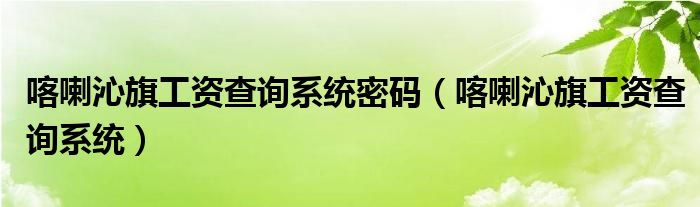 喀喇沁旗工資查詢系統(tǒng)密碼（喀喇沁旗工資查詢系統(tǒng)）