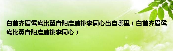 白首齊眉鴛鴦比翼青陽啟瑞桃李同心出自哪里（白首齊眉鴛鴦比翼青陽啟瑞桃李同心）