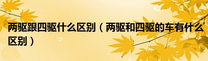 兩驅跟四驅什么區(qū)別（兩驅和四驅的車有什么區(qū)別）