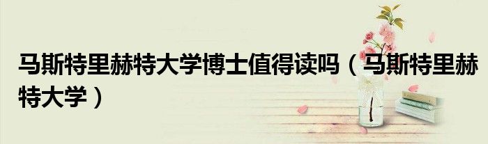 馬斯特里赫特大學博士值得讀嗎（馬斯特里赫特大學）