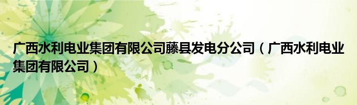 廣西水利電業(yè)集團(tuán)有限公司藤縣發(fā)電分公司（廣西水利電業(yè)集團(tuán)有限公司）