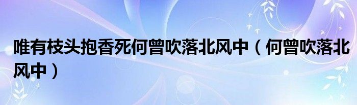 唯有枝頭抱香死何曾吹落北風中（何曾吹落北風中）