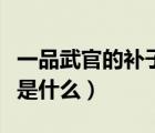 一品武官的補子圖案是（二品武官的補子圖案是什么）