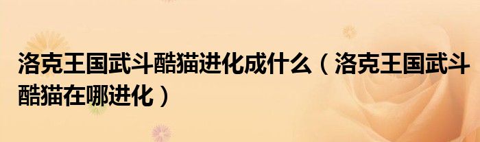 洛克王國武斗酷貓進化成什么（洛克王國武斗酷貓在哪進化）